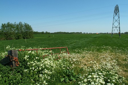 Foto  van omgeving Doniaga, gemeente Skarsterl�n, provincie Friesland (Frysl�n)