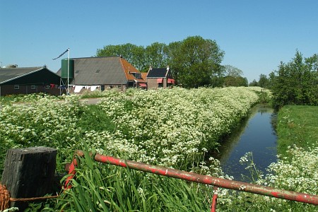 Foto  van omgeving Doniaga, gemeente Skarsterl�n, provincie Friesland (Frysl�n)