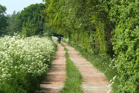 Foto  van omgeving Langweer, gemeente Skarsterl�n, provincie Friesland (Frysl�n)
