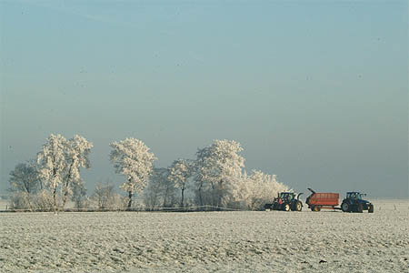 Foto  van omgeving Akmarijp, gemeente Skarsterl�n, provincie Friesland (Frysl�n)