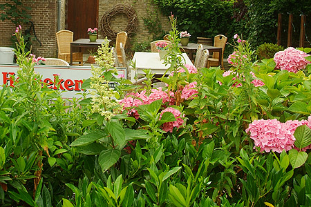 Foto van omgeving Arum, gemeente Súdwest Fryslân, provincie Friesland (Fryslân) Foto van omgeving Arum, gemeente Súdwest Fryslân, provincie Friesland (Fryslân)