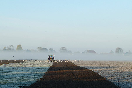 Foto  van omgeving Boornzwaag, gemeente Skarsterl�n, provincie Friesland (Frysl�n)