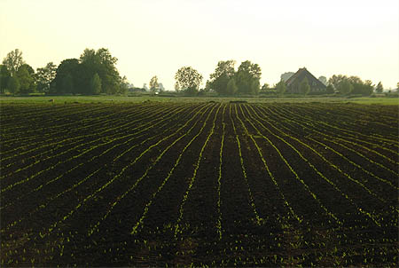Foto  van omgeving Boornzwaag, gemeente Skarsterl�n, provincie Friesland (Frysl�n)