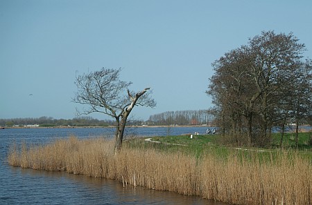 Foto  van omgeving Akmarijp, gemeente Skarsterl�n, provincie Friesland (Frysl�n)