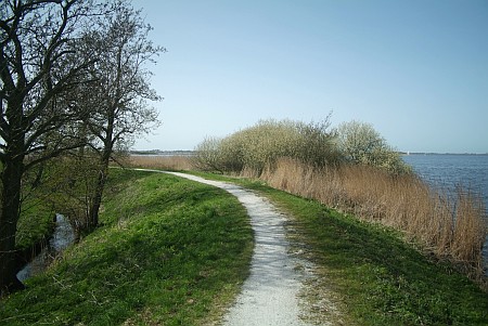Foto  van omgeving Terherne, gemeente Boarnsterhim, provincie Friesland (Frysl�n)