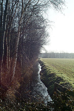 Foto van omgeving Idskenhuizen, gemeente Skarsterlân, provincie Friesland (Fryslân) Foto van omgeving Idskenhuizen, gemeente Skarsterlân, provincie Friesland (Fryslân)