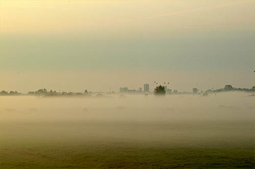 Foto  van omgeving Langweer, gemeente Skarsterl�n, provincie Friesland (Frysl�n)