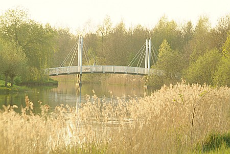 Foto  van omgeving Langweer, gemeente Skarsterl�n, provincie Friesland (Frysl�n)