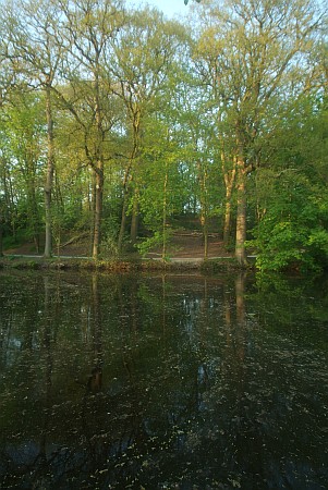 Foto  van omgeving Sint Nicolaasga, gemeente Skarsterl�n, provincie Friesland (Frysl�n)