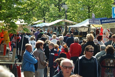 Foto  van omgeving Langweer, gemeente Skarsterl�n, provincie Friesland (Frysl�n)