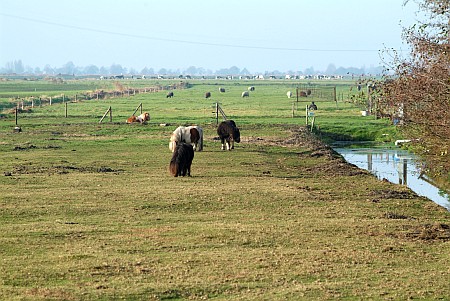 Foto  van omgeving Oldeouwer, gemeente Skarsterl�n, provincie Friesland (Frysl�n)