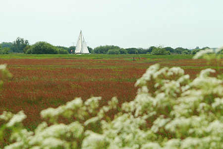 Foto  van omgeving Snikzwaag, gemeente Skarsterl�n, provincie Friesland (Frysl�n)