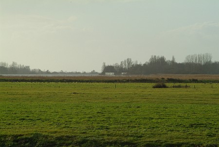Foto  van omgeving Akmarijp, gemeente Skarsterl�n, provincie Friesland (Frysl�n)