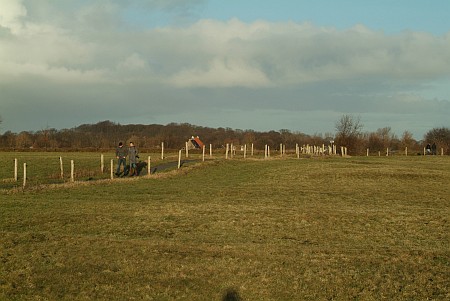 Foto  van omgeving Legemeer, gemeente Skarsterl�n, provincie Friesland (Frysl�n)