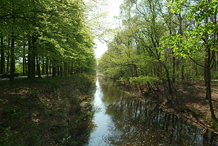 Foto  van omgeving Legemeer, gemeente Skarsterl�n, provincie Friesland (Frysl�n)