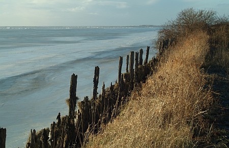 Foto  van omgeving Legemeer, gemeente Skarsterl�n, provincie Friesland (Frysl�n)