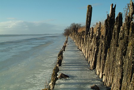 Foto  van omgeving Snikzwaag, gemeente Skarsterl�n, provincie Friesland (Frysl�n)
