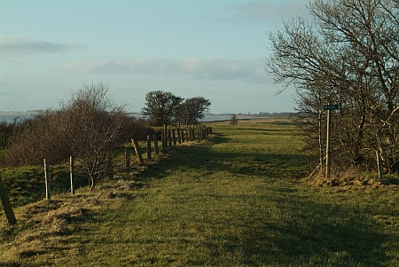 Foto  van omgeving Snikzwaag, gemeente Skarsterl�n, provincie Friesland (Frysl�n)