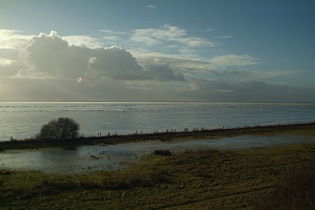 Foto  van omgeving Legemeer, gemeente Skarsterl�n, provincie Friesland (Frysl�n)