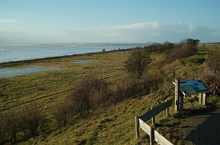 Foto  van omgeving Legemeer, gemeente Skarsterl�n, provincie Friesland (Frysl�n)