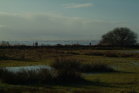 Foto  van omgeving Snikzwaag, gemeente Skarsterl�n, provincie Friesland (Frysl�n)