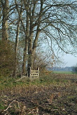 Foto  van omgeving Teroele, gemeente Skarsterl�n, provincie Friesland (Frysl�n)