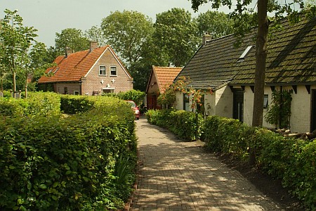 Foto van omgeving Peins, gemeente Franekeradeel, provincie Friesland (Fryslân) Foto van omgeving Peins, gemeente Franekeradeel, provincie Friesland (Fryslân)