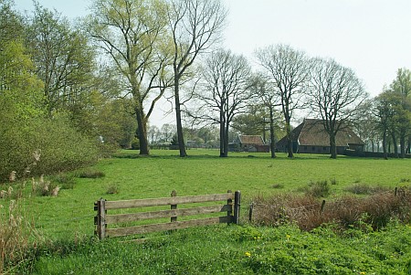 Foto  van omgeving Haskerhorne, gemeente Skarsterl�n, provincie Friesland (Frysl�n)