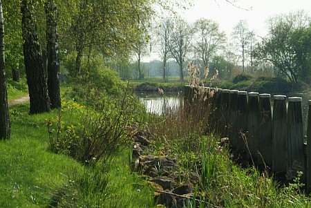 Foto  van omgeving Haskerhorne, gemeente Skarsterl�n, provincie Friesland (Frysl�n)
