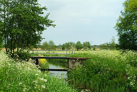 Foto  van omgeving Legemeer, gemeente Skarsterl�n, provincie Friesland (Frysl�n)