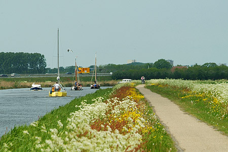 Foto  van omgeving Langweer, gemeente Skarsterl�n, provincie Friesland (Frysl�n)
