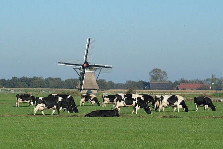 Foto  van omgeving Sint Nicolaasga, gemeente Skarsterl�n, provincie Friesland (Frysl�n)