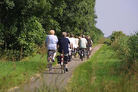 Foto  van omgeving Boornzwaag, gemeente Skarsterl�n, provincie Friesland (Frysl�n)