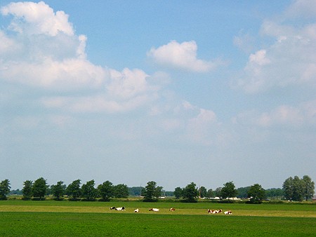 Foto  van omgeving Tjerkgaast, gemeente Skarsterl�n, provincie Friesland (Frysl�n)