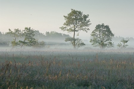 Foto  van omgeving Akmarijp, gemeente Skarsterl�n, provincie Friesland (Frysl�n)