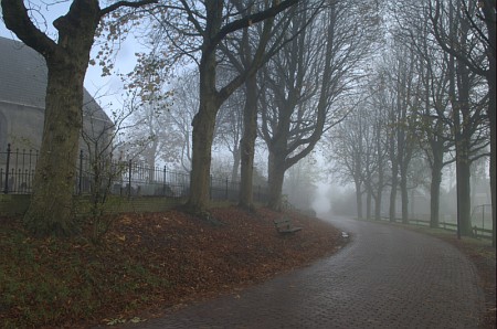 Foto  van omgeving H�ns, gemeente Littenseradiel, provincie Friesland (Frysl�n)