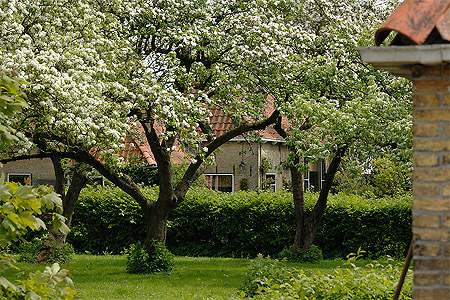 Foto  van omgeving Legemeer, gemeente Skarsterl�n, provincie Friesland (Frysl�n)