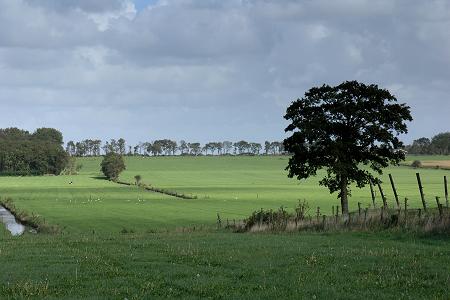 Foto  van omgeving Snikzwaag, gemeente Skarsterl�n, provincie Friesland (Frysl�n)