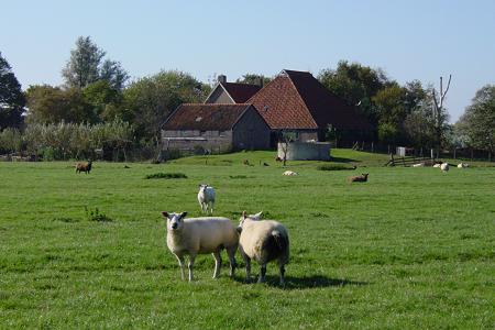 Foto  van omgeving Haskerhorne, gemeente Skarsterl�n, provincie Friesland (Frysl�n)