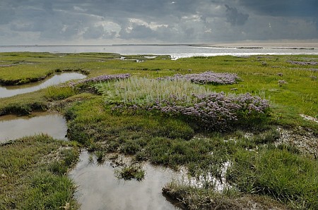 Foto  van omgeving Oldeouwer, gemeente Skarsterl�n, provincie Friesland (Frysl�n)