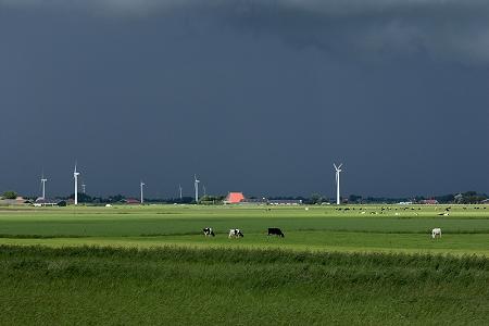 Foto  van omgeving Allingawier, gemeente S�dwest Frysl�n, provincie Friesland (Frysl�n)