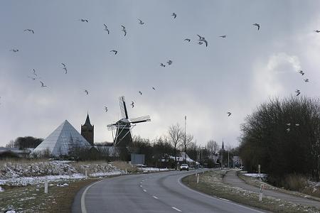 Foto  van omgeving Sexbierum, gemeente Franekeradeel, provincie Friesland (Frysl�n)
