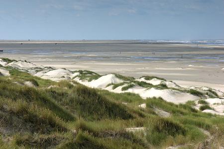 Foto  van omgeving Boornzwaag, gemeente Skarsterl�n, provincie Friesland (Frysl�n)