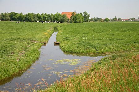 Foto  van omgeving Abbega, gemeente S�dwest Frysl�n, provincie Friesland (Frysl�n)