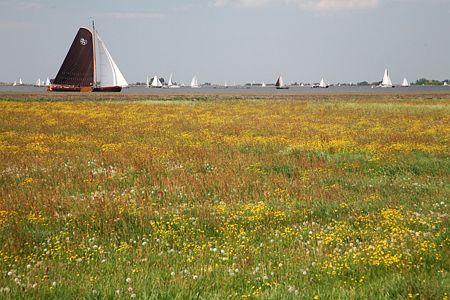 Foto  van omgeving Elahuizen, gemeente Gaasterl�n-Sleat, provincie Friesland (Frysl�n)