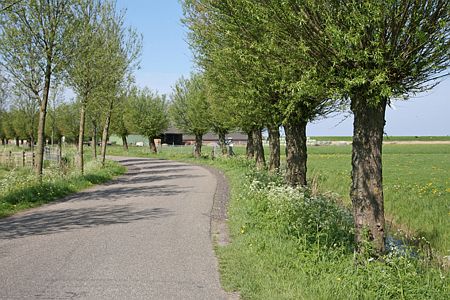 Foto  van omgeving Ferwoude, gemeente S�dwest Frysl�n, provincie Friesland (Frysl�n)