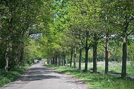 Foto  van omgeving Elahuizen, gemeente Gaasterl�n-Sleat, provincie Friesland (Frysl�n)