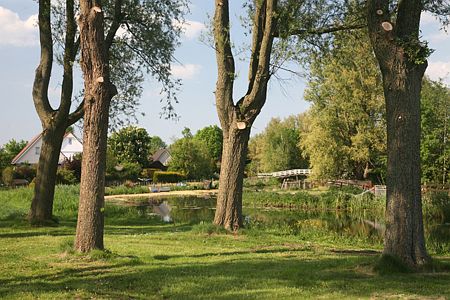 Foto  van omgeving Sint Nicolaasga, gemeente Skarsterl�n, provincie Friesland (Frysl�n)