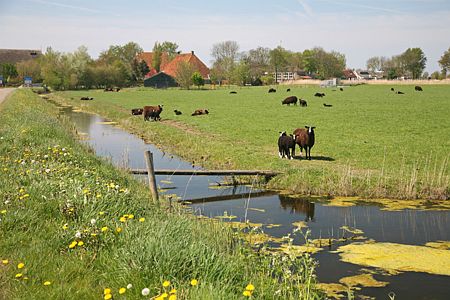 Foto  van omgeving Langweer, gemeente Skarsterl�n, provincie Friesland (Frysl�n)