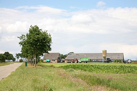 Foto  van omgeving Langweer, gemeente Skarsterl�n, provincie Friesland (Frysl�n)